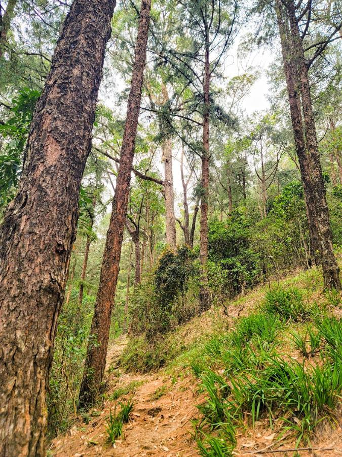 Notre Dame D'Arcadia Hotel Nuwara Eliya Buitenkant foto